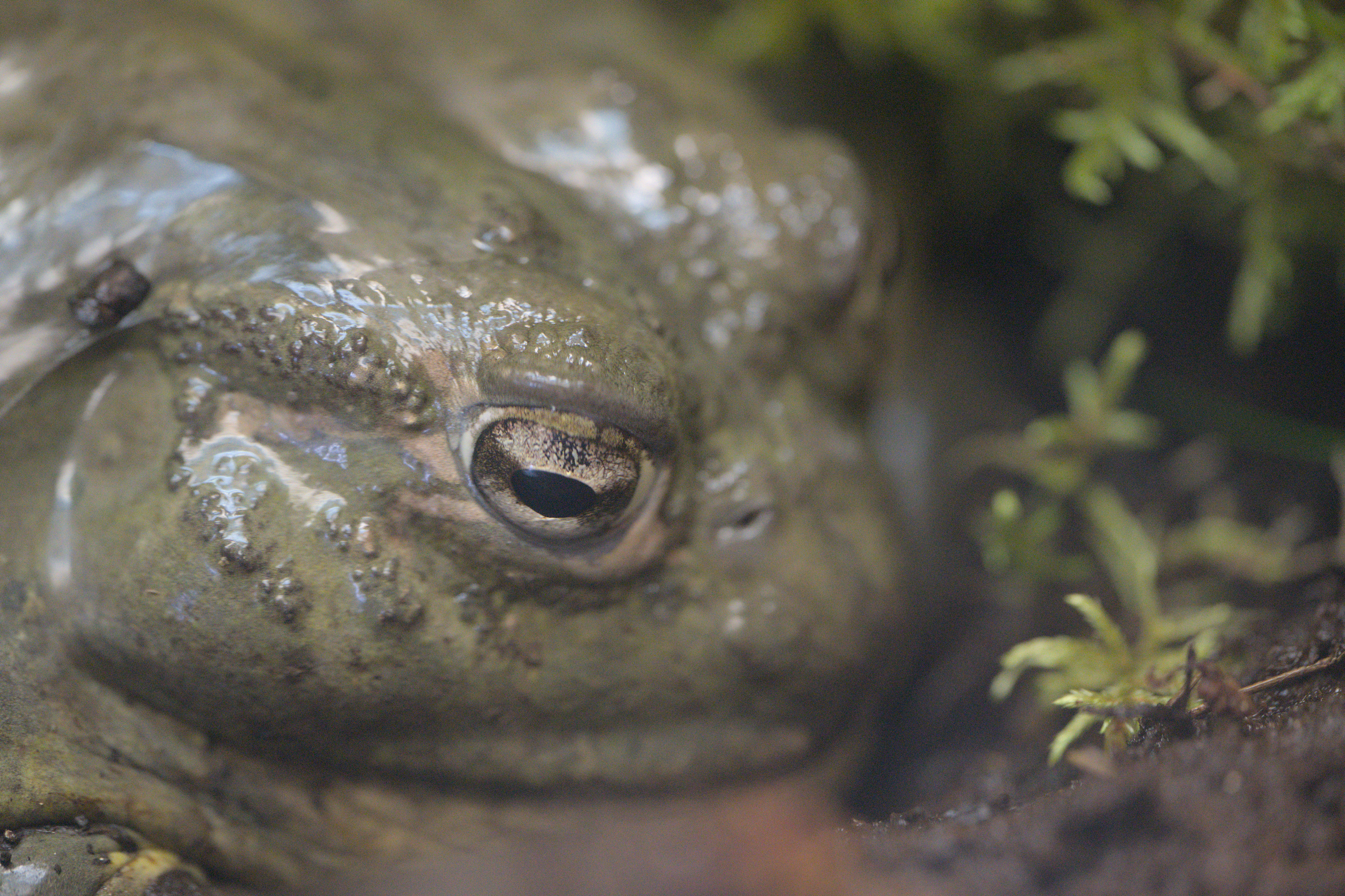 2025/10/12 - zoo/DSC_0177.jpg